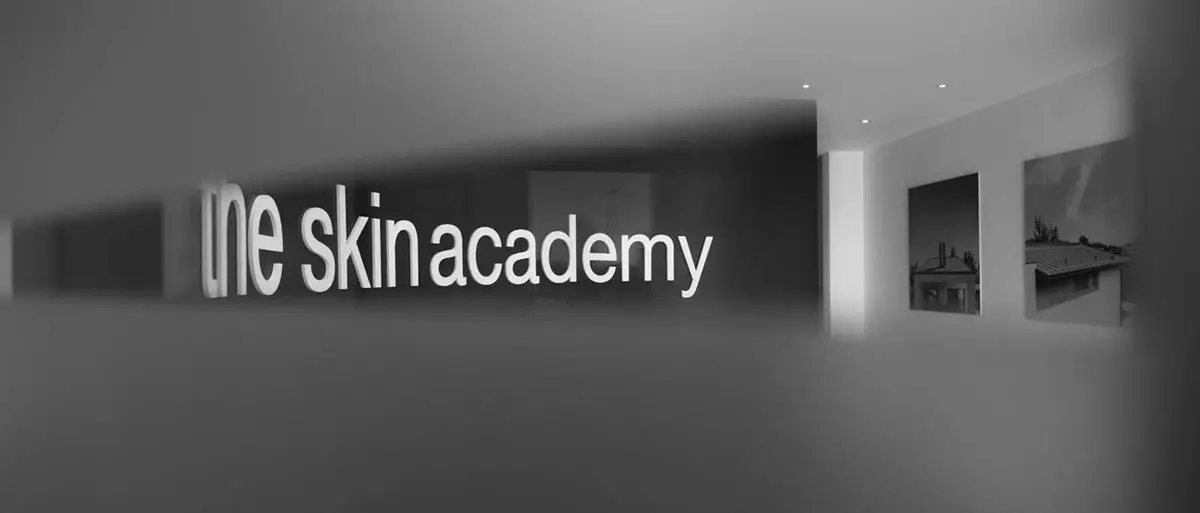 The Skin Academy : formazione per lattonieri e coperturisti