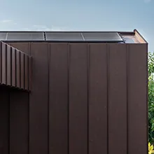 The Skin soluzione aggraffato